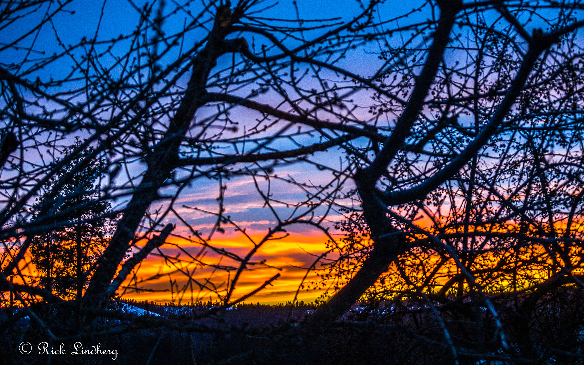 Pentax K-5 sample photo. Silhouettes photography