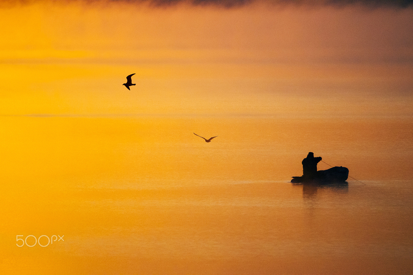 Nikon D300 sample photo. Angler photography