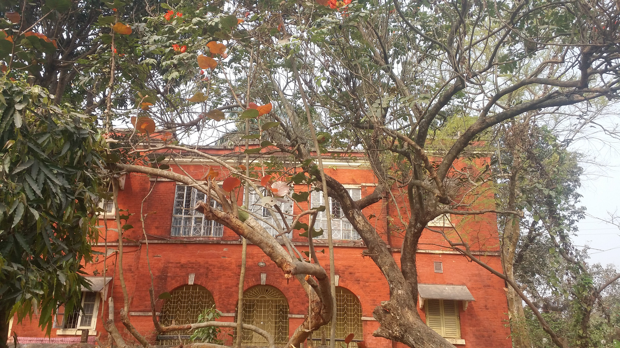 Samsung Galaxy E7 sample photo