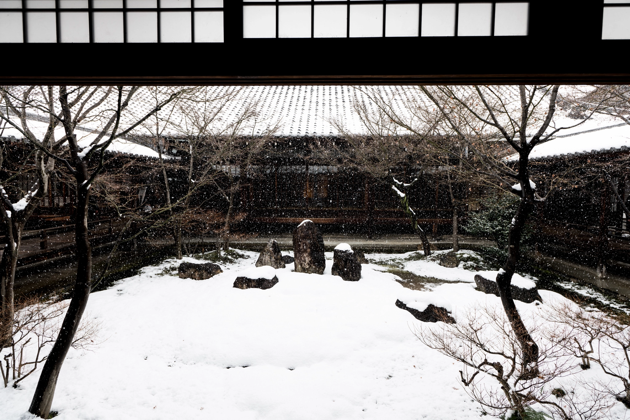 Sony a99 II + Sony Vario-Sonnar T* 16-35mm F2.8 ZA SSM sample photo. Snow garden photography