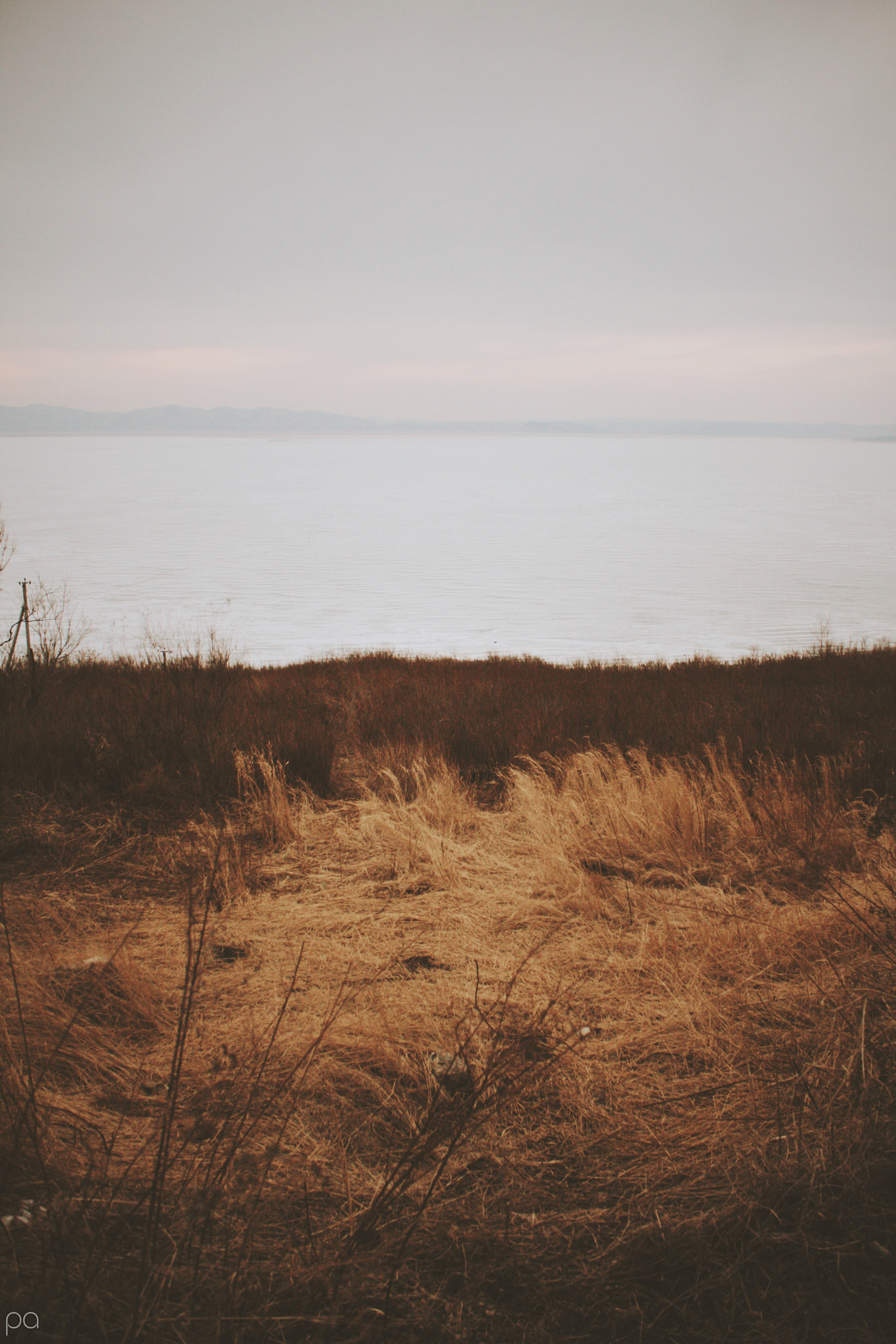 Canon EOS 40D sample photo. "the way" photography
