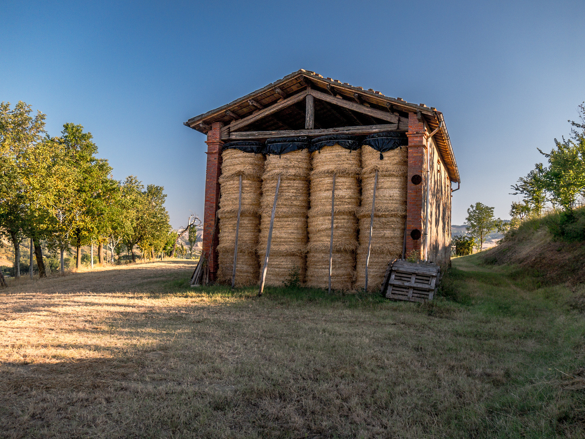 Panasonic Lumix DMC-G6 sample photo. Barn photography