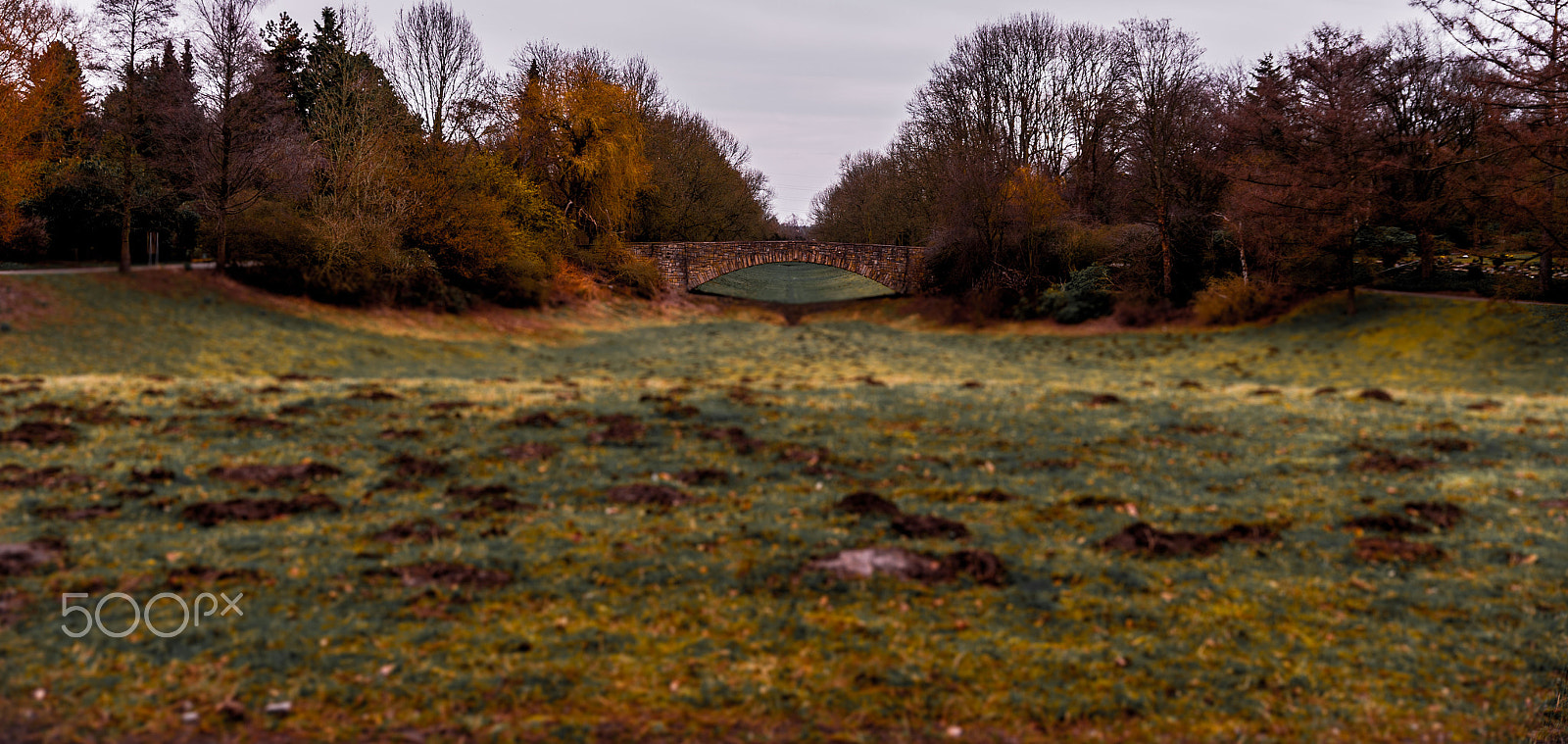 Tamron SP 24-70mm F2.8 Di VC USD sample photo. Lonesome bridge photography
