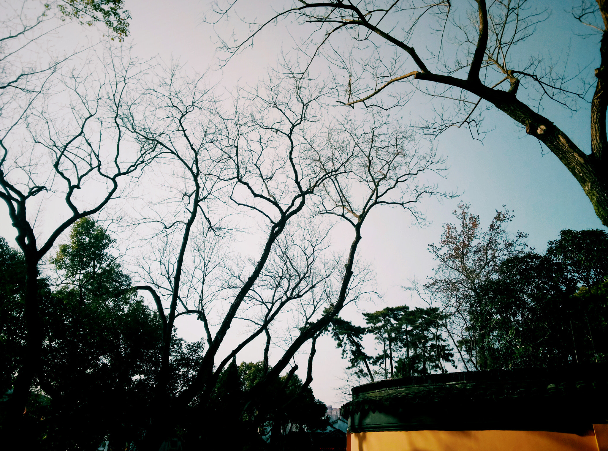 Meizu m3 note sample photo. 一隅 photography