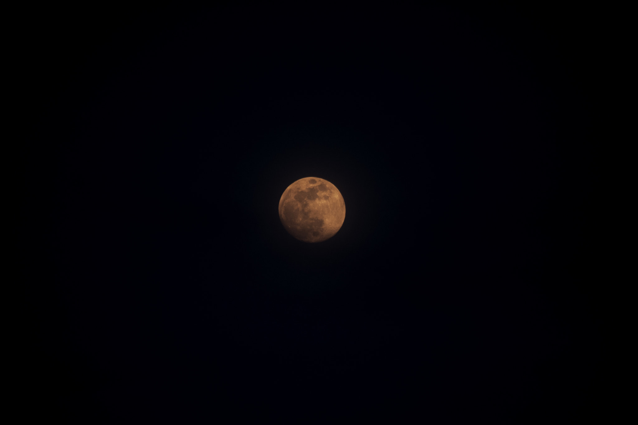 Sigma 70-300mm F4-5.6 APO DG Macro sample photo. Red passion photography
