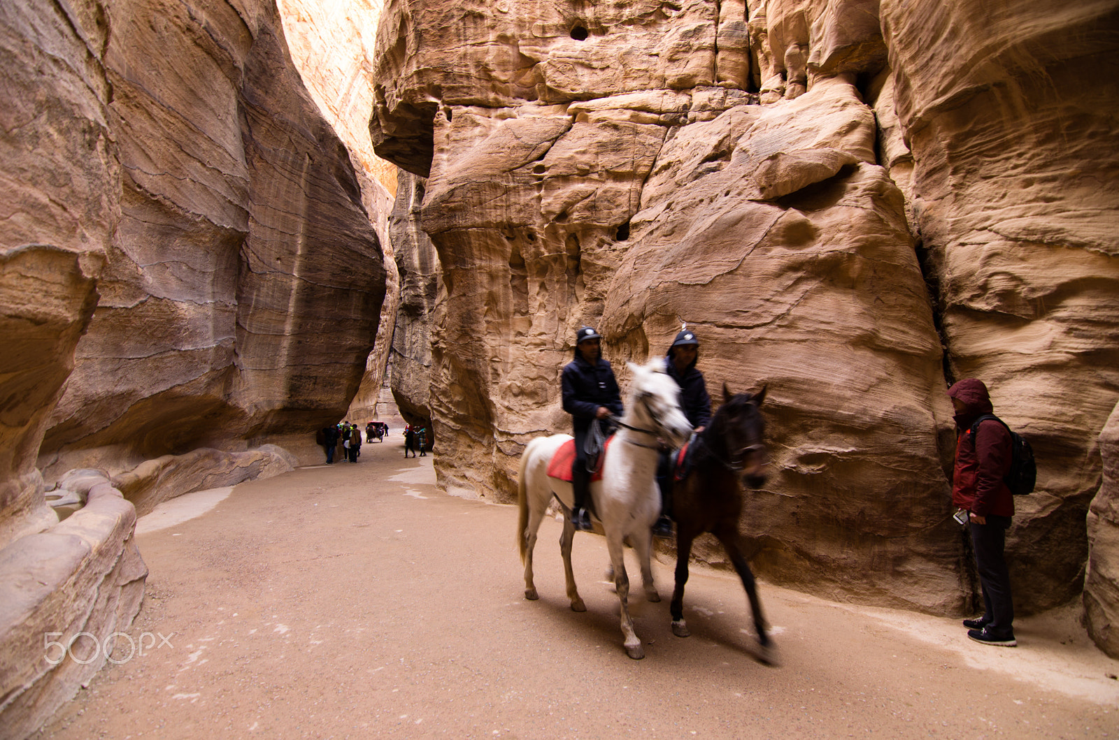 Nikon D5100 sample photo. Petra, jordan. photography