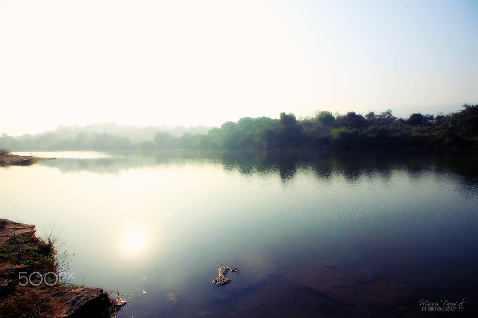 Canon EOS 550D (EOS Rebel T2i / EOS Kiss X4) sample photo. Morning mist photography