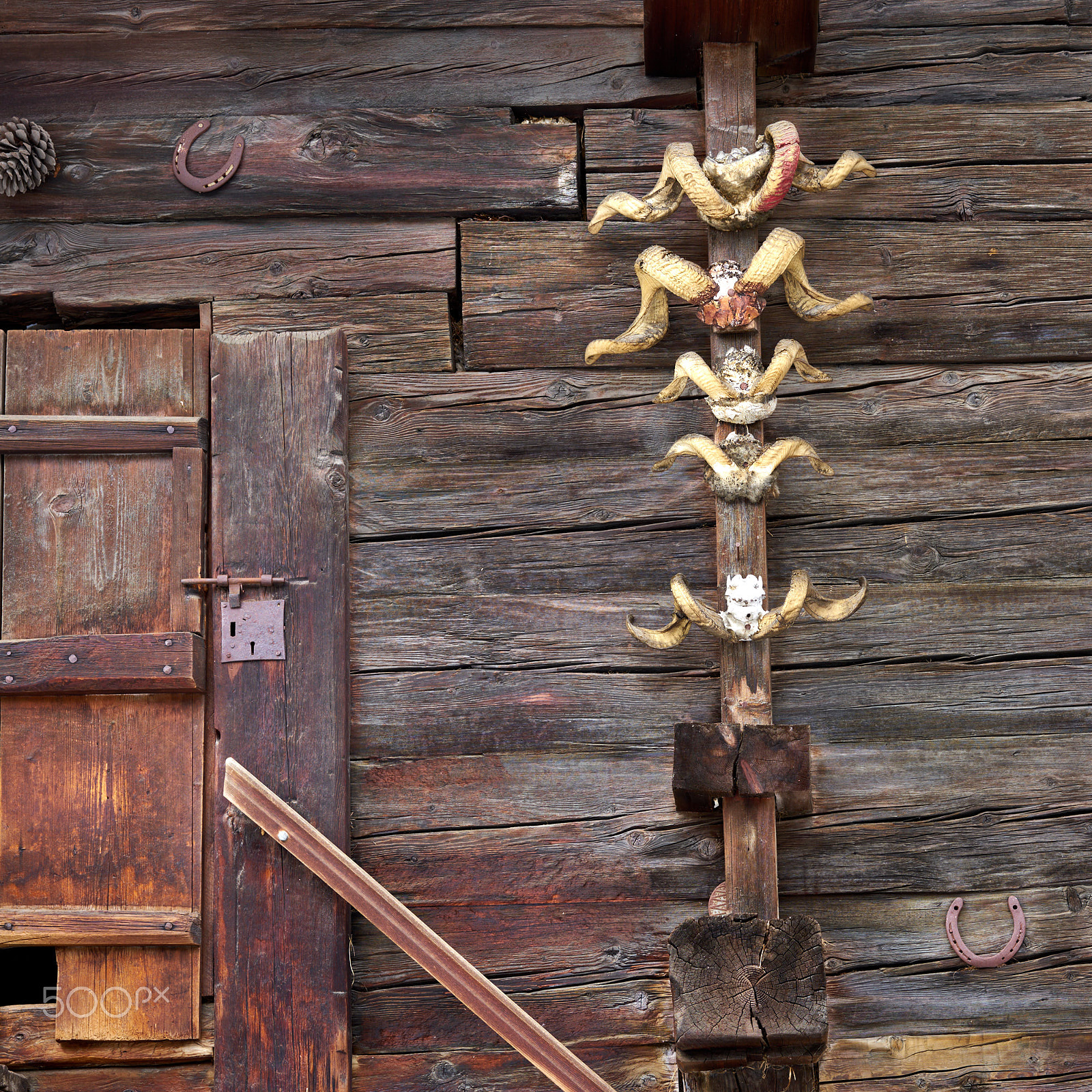 Sony a7R II + Sony Sonnar T* FE 55mm F1.8 ZA sample photo. Horns on stable wall photography