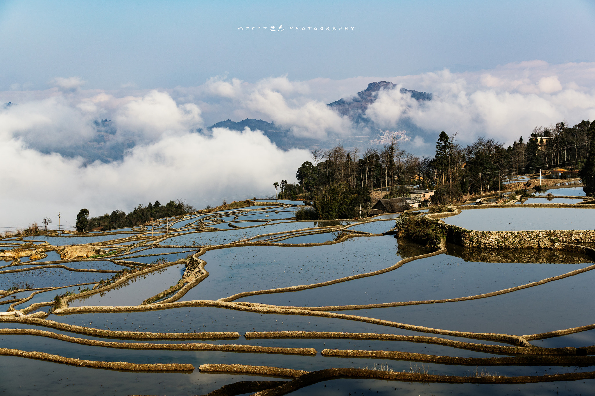 Canon EOS-1D X Mark II sample photo. Terrace photography