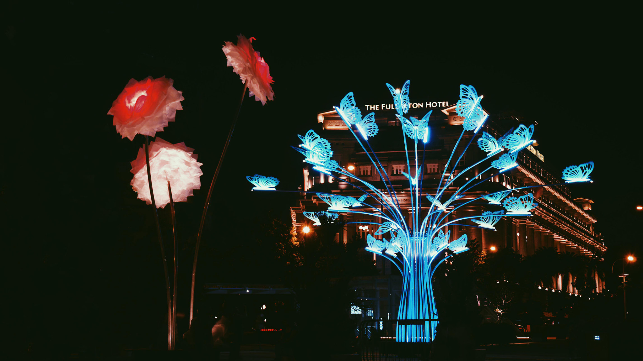 Panasonic Lumix DMC-G7 sample photo. The colourful garden of light photography