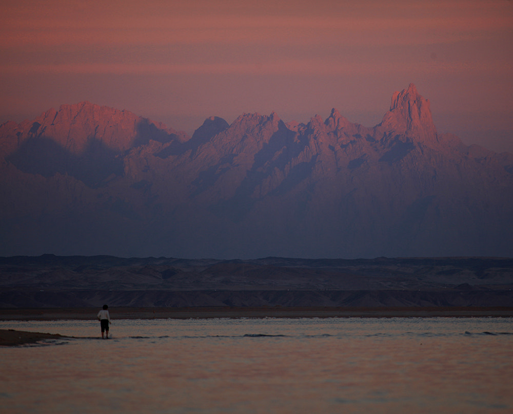 Canon EF 100-400mm F4.5-5.6L IS USM sample photo