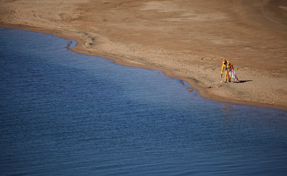 Canon EF 100-400mm F4.5-5.6L IS USM sample photo
