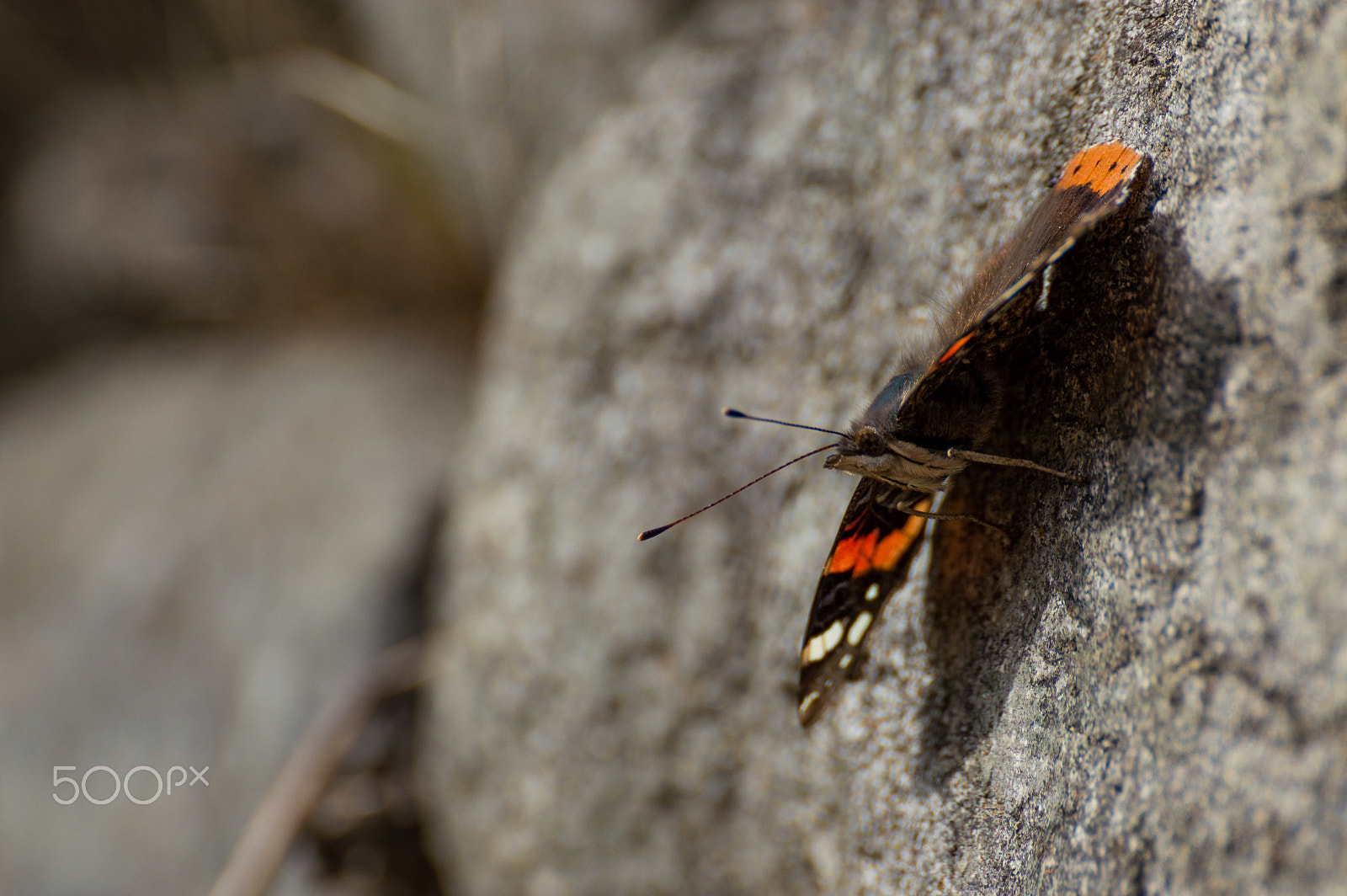 Nikon D3200 sample photo. Ready to take off photography