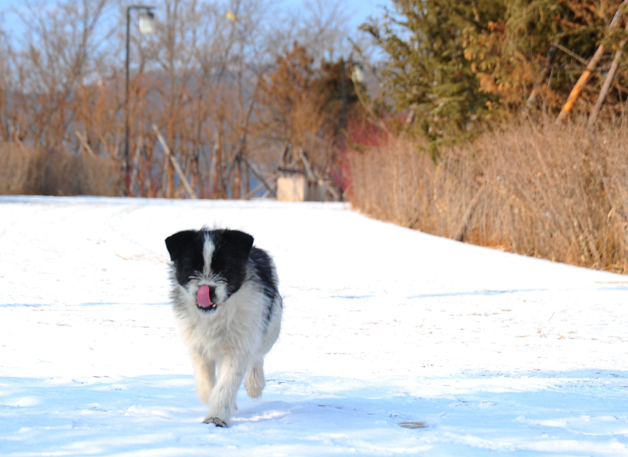 Nikon D700 sample photo
