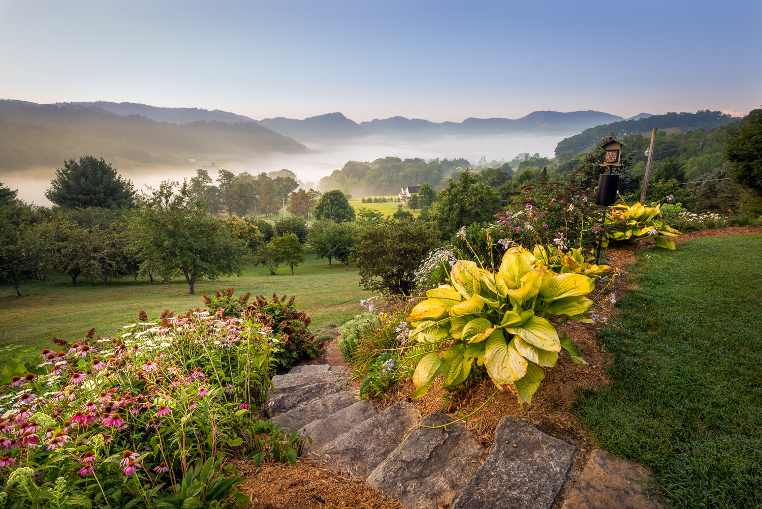 Sony a7R + Canon EF 16-35mm F2.8L II USM sample photo. Misty morning photography