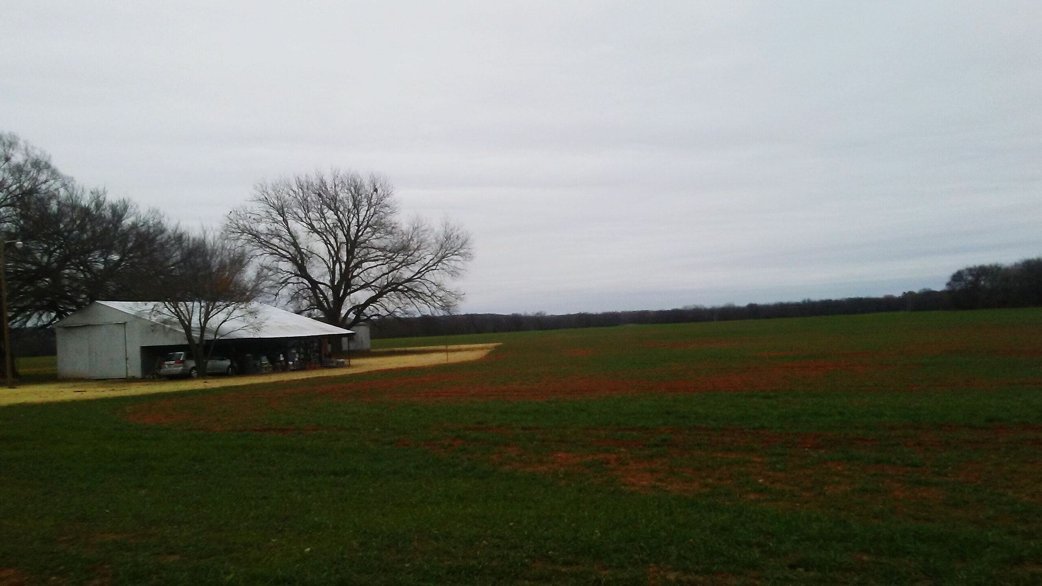 LG K7 sample photo. Winter wheat  photography