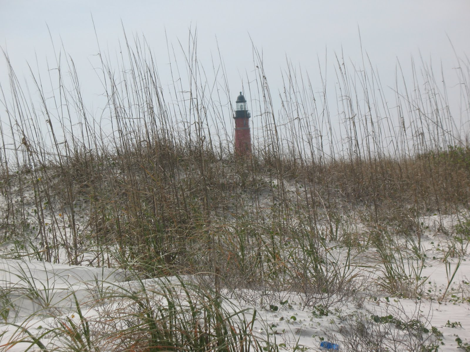 Canon POWERSHOT A630 sample photo. Standing tall over the white sands photography