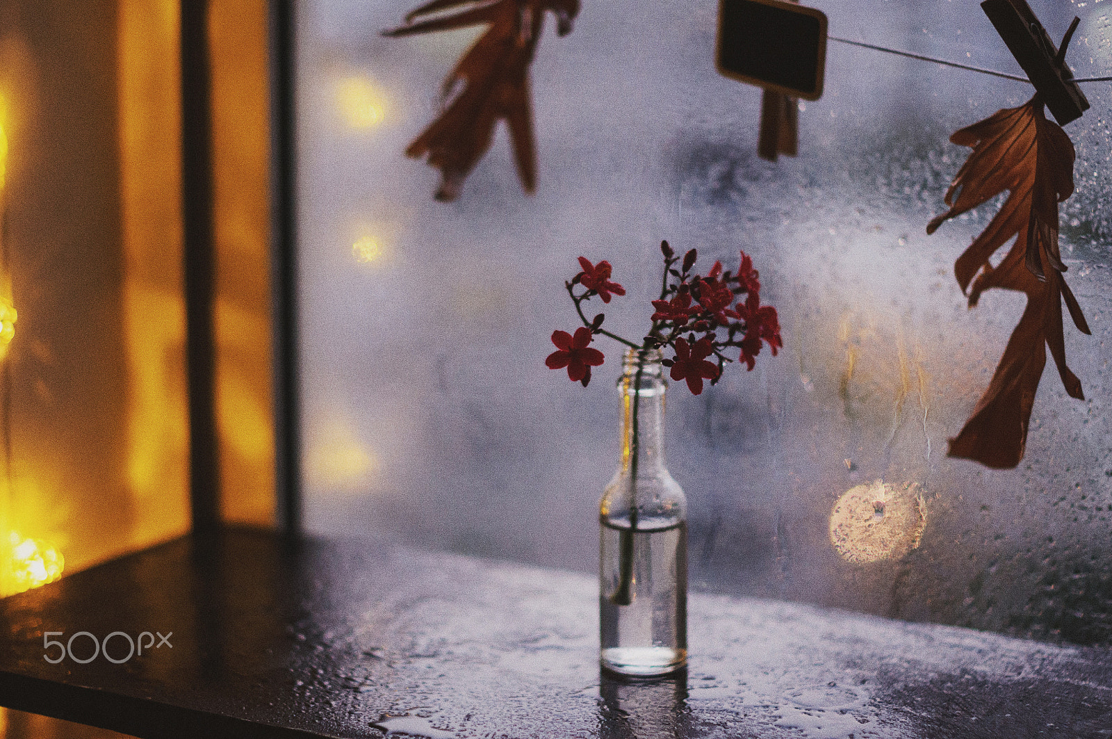 Nikon D90 + Nikon AF-S Nikkor 50mm F1.4G sample photo. Evening still life photography