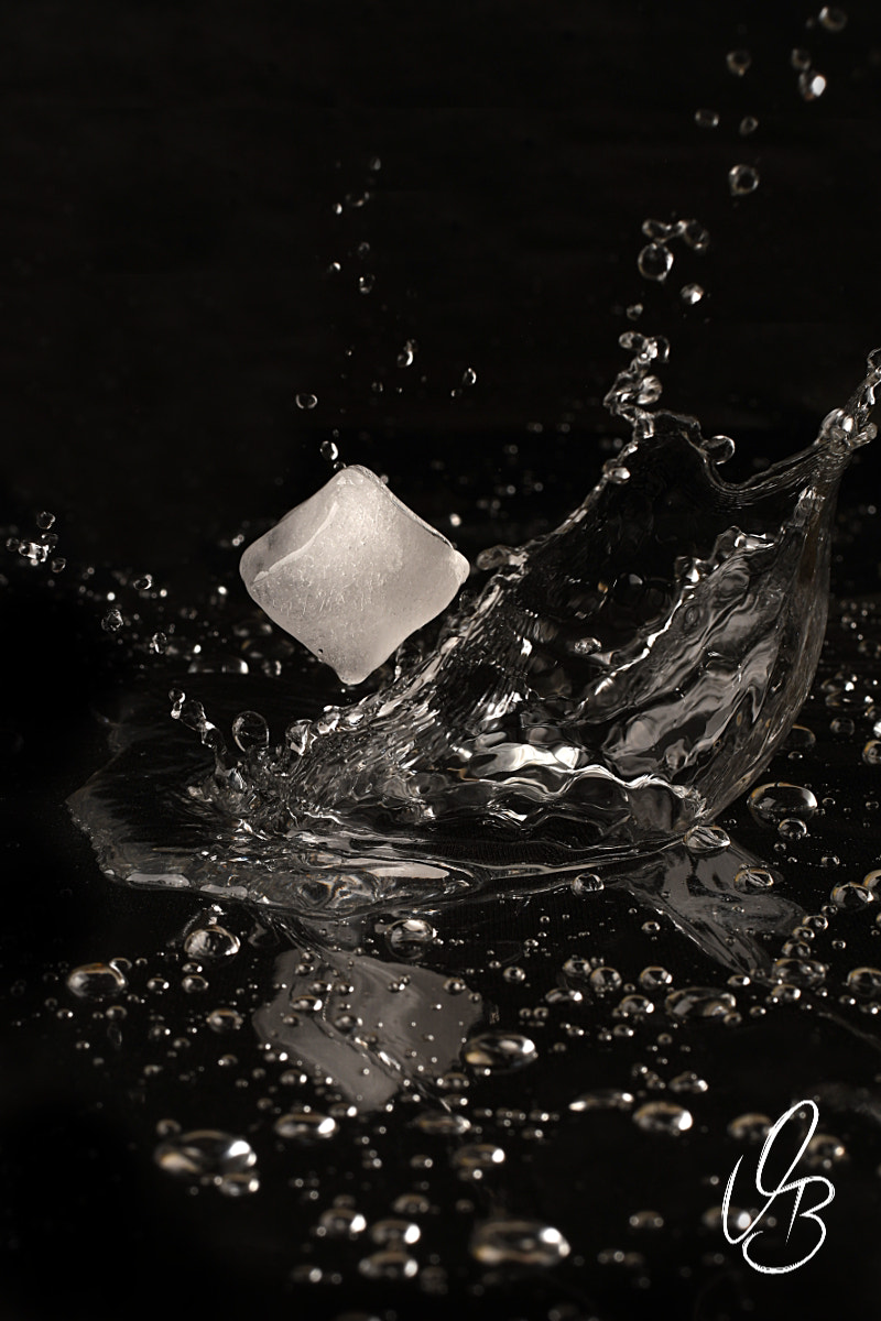 Nikon D500 sample photo. Icecube #3 photography