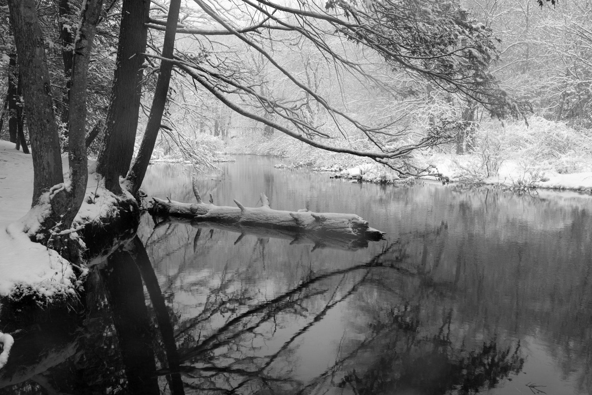 Pentax K-1 + Sigma 35mm F1.4 DG HSM Art sample photo. River reflections during snow storm photography