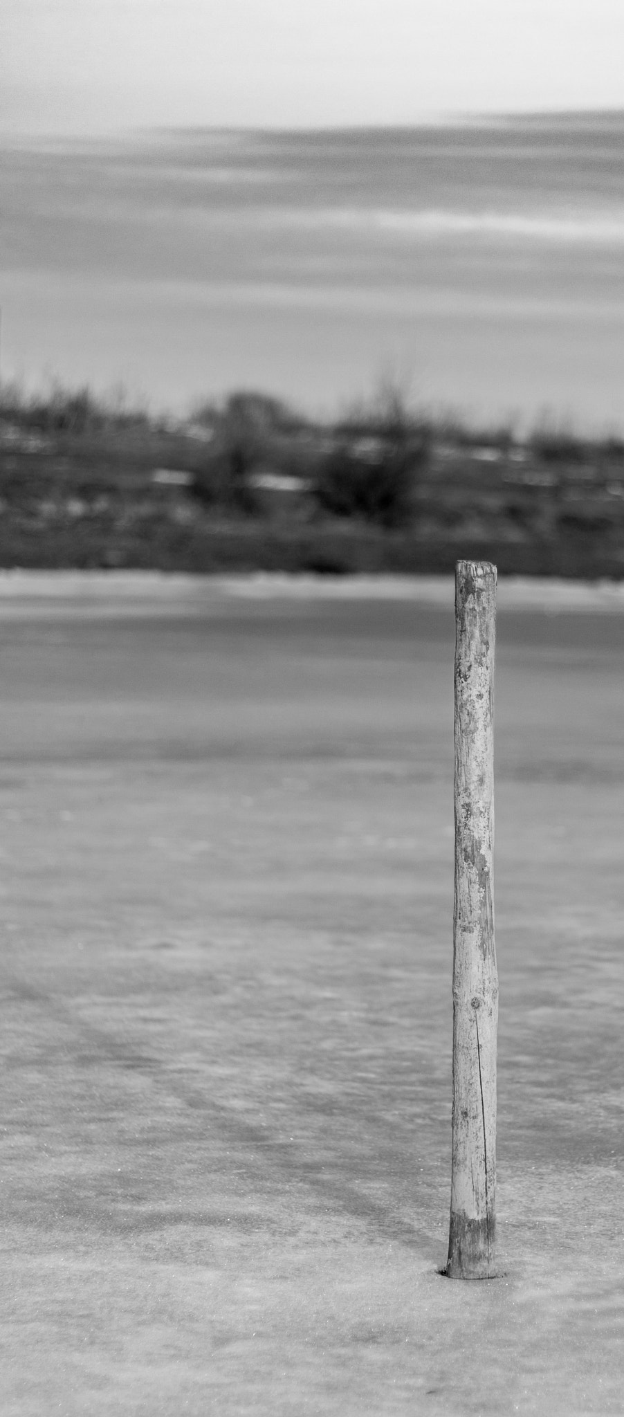 Canon EOS 1000D (EOS Digital Rebel XS / EOS Kiss F) + Canon EF 50mm F1.8 STM sample photo. Cadran en solitaire photography