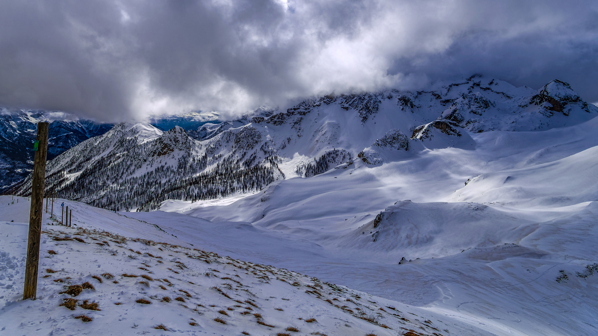 Panasonic Lumix G Vario 7-14mm F4 ASPH sample photo. Heavenly buddies photography