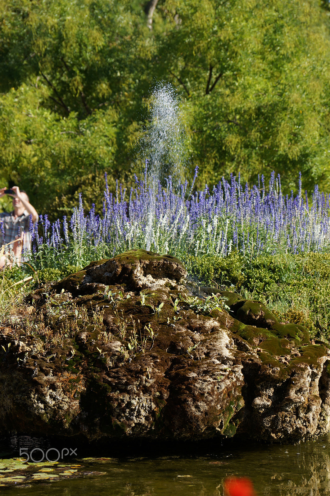 Sony DT 18-135mm F3.5-5.6 SAM sample photo. Fountain photography