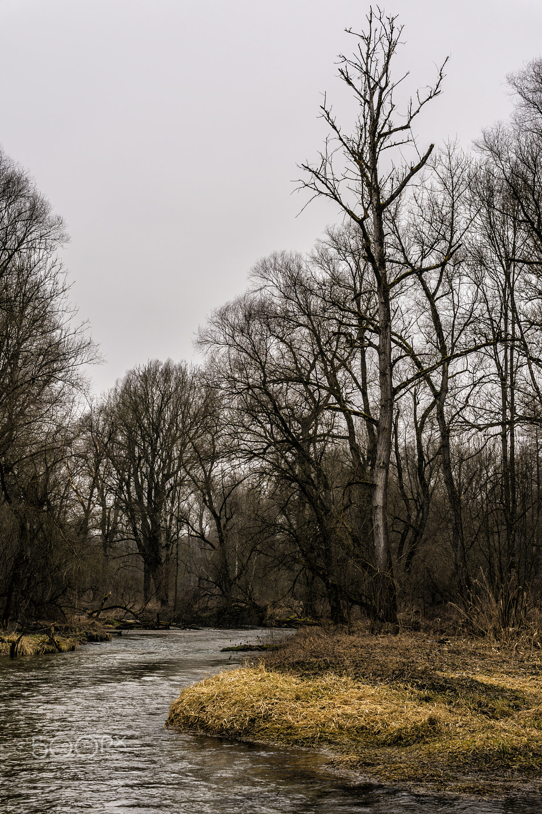 Nikon AF-S DX Micro Nikkor 40mm F2.8 sample photo. Amper photography