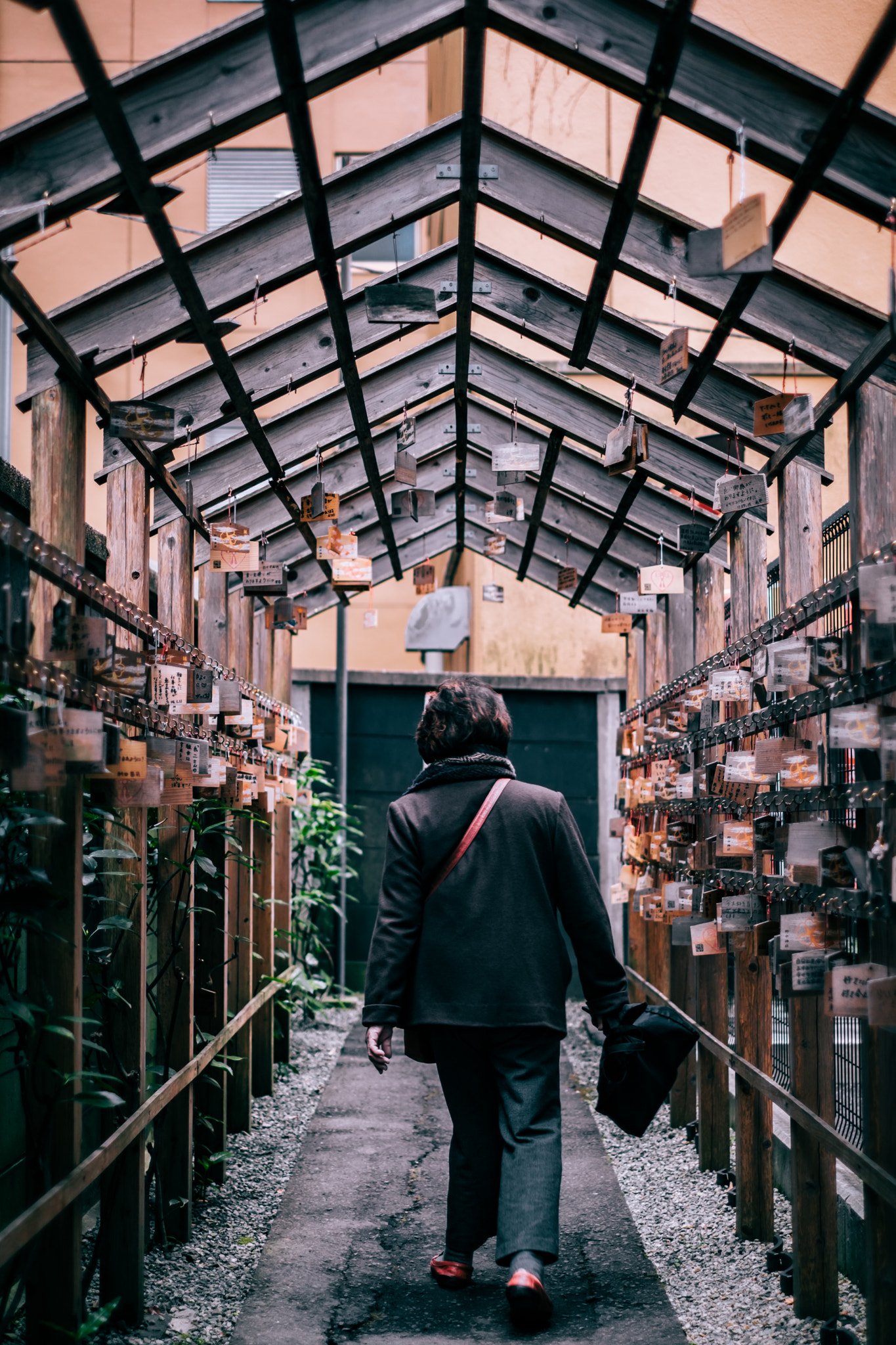 Fujifilm X-T2 + Fujifilm XF 35mm F1.4 R sample photo. Everyday life in sendai. photography