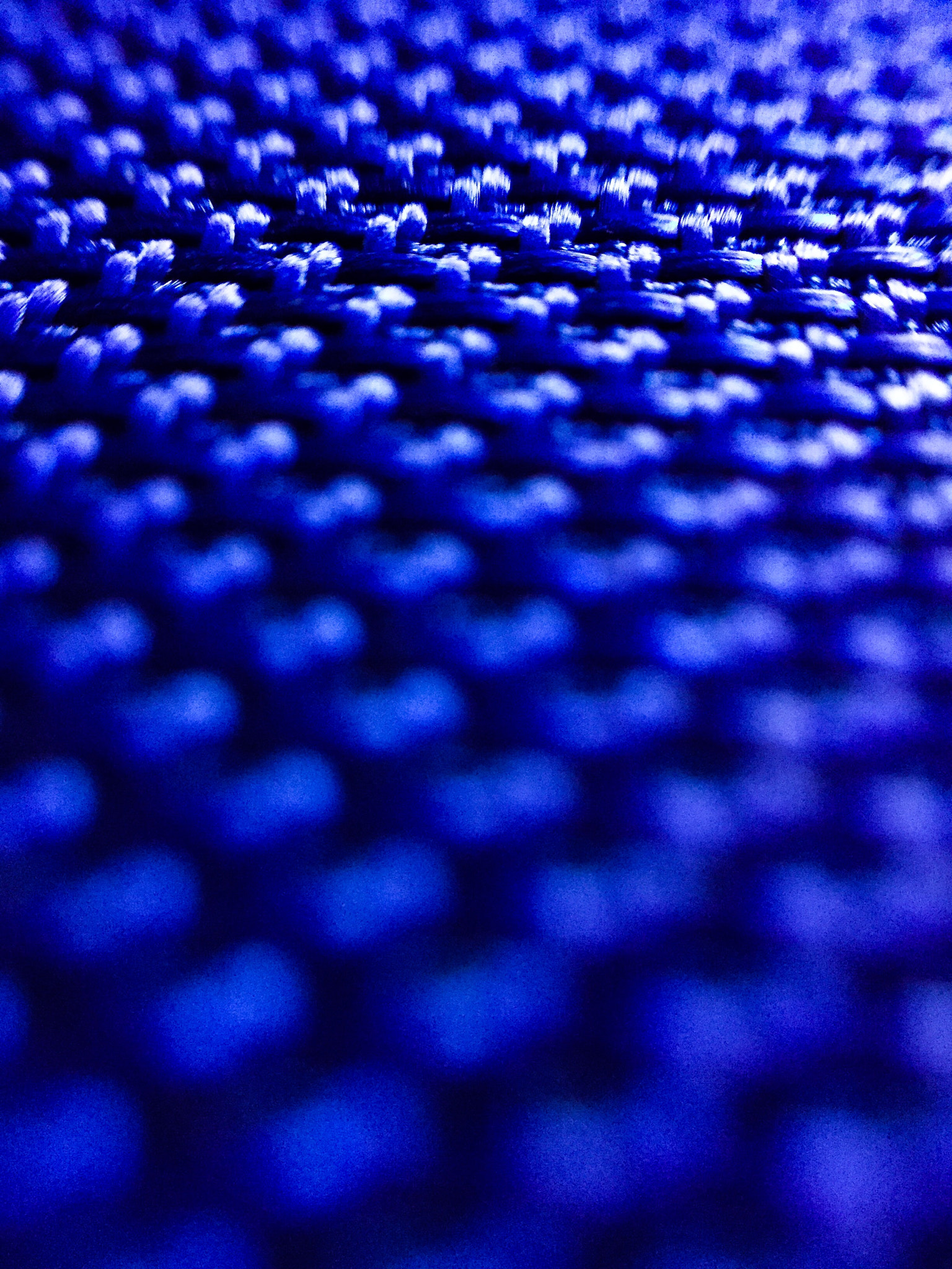 iPad Air 2 back camera 3.3mm f/2.4 sample photo. First attempt using macro photography