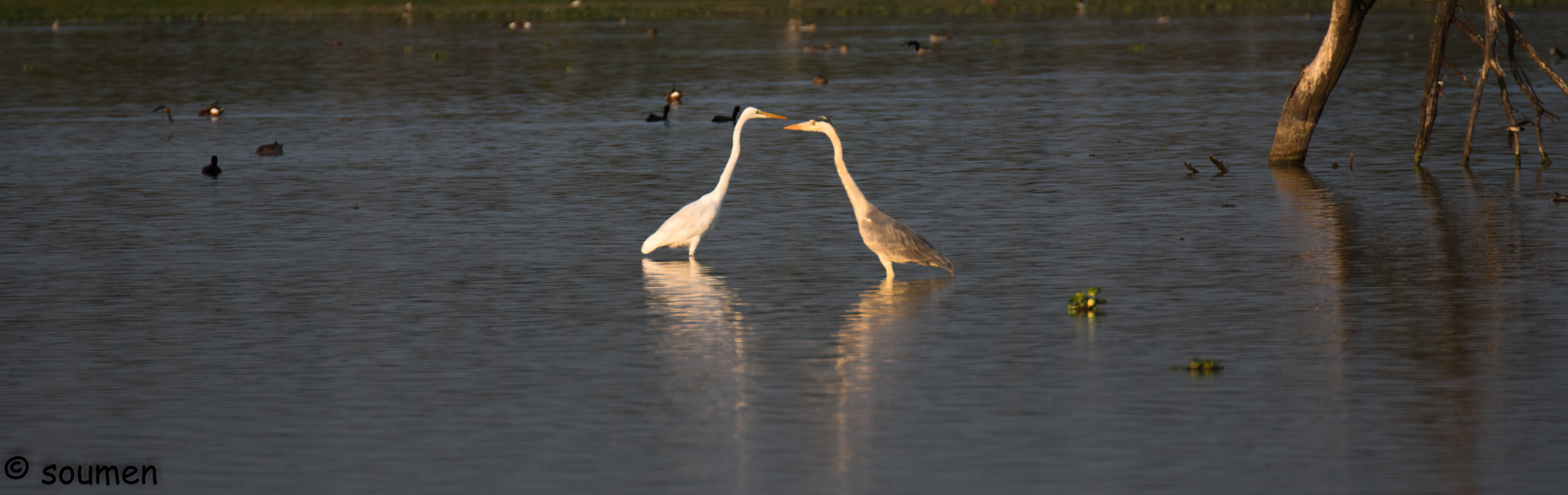 Nikon D5500 sample photo. The duo photography