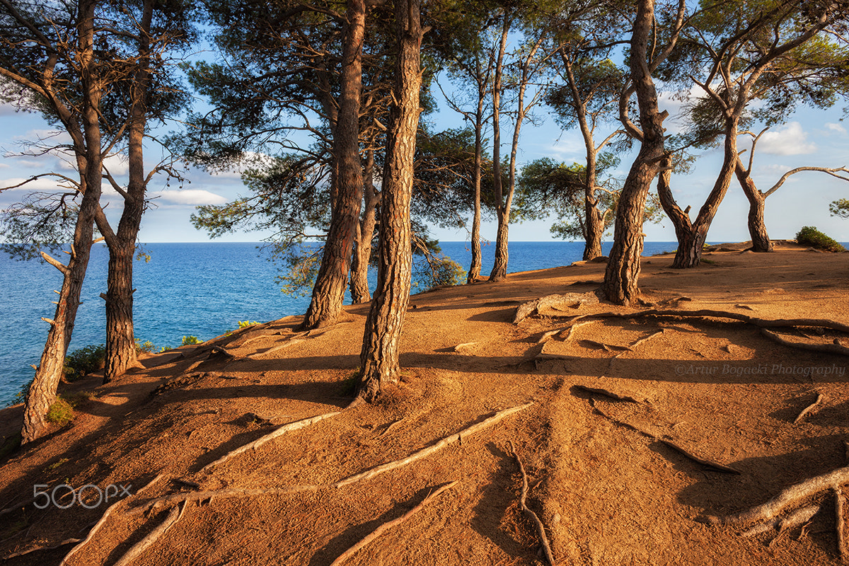 Canon EOS 5D Mark II sample photo. Hill top sunset by the sea photography