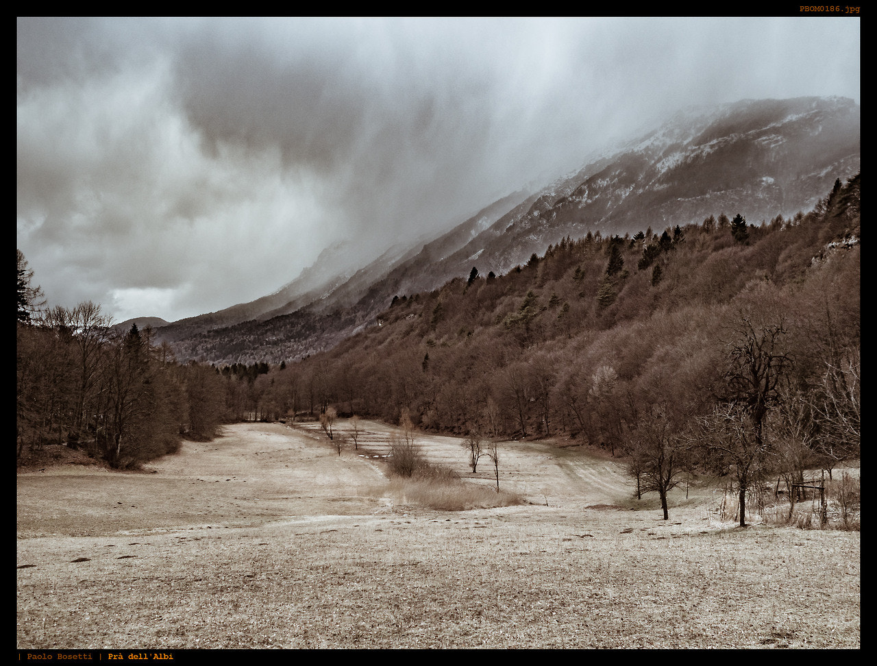 Olympus OM-D E-M5 II + Olympus M.Zuiko Digital 17mm F1.8 sample photo. Prà dell'albi photography