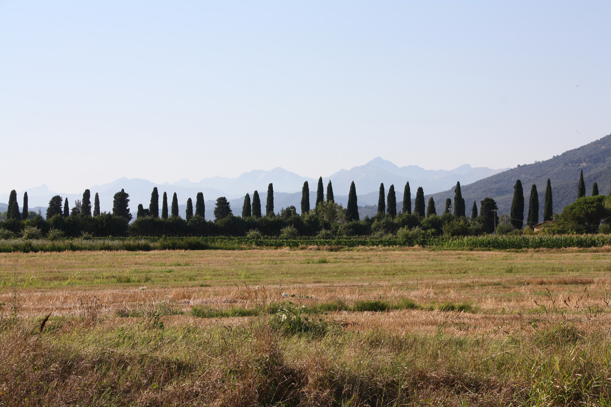 Canon EOS 1000D (EOS Digital Rebel XS / EOS Kiss F) + Sigma 18-250mm F3.5-6.3 DC OS HSM sample photo. Tuscany love. photography