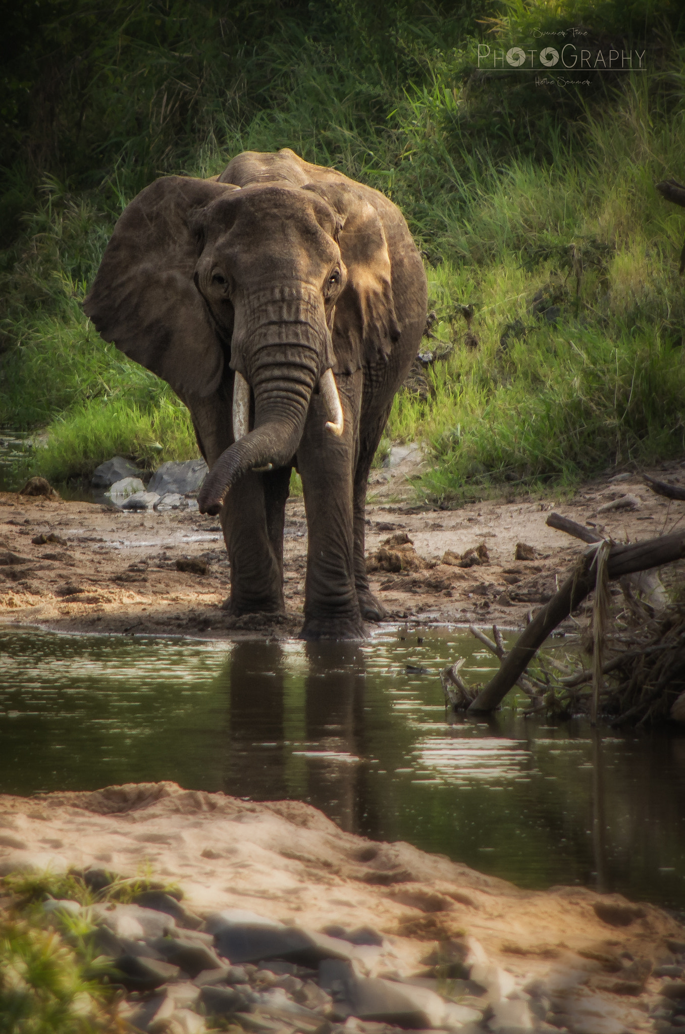Pentax smc DA 55-300mm F4.0-5.8 ED sample photo. African dream photography