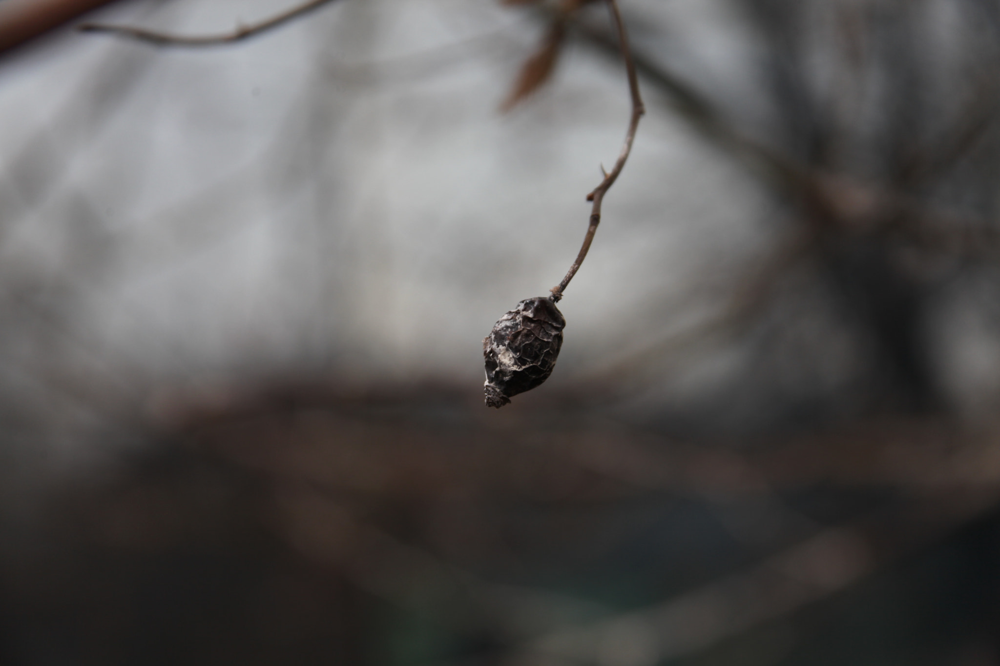 Canon EF 28-135mm F3.5-5.6 IS USM sample photo. * photography