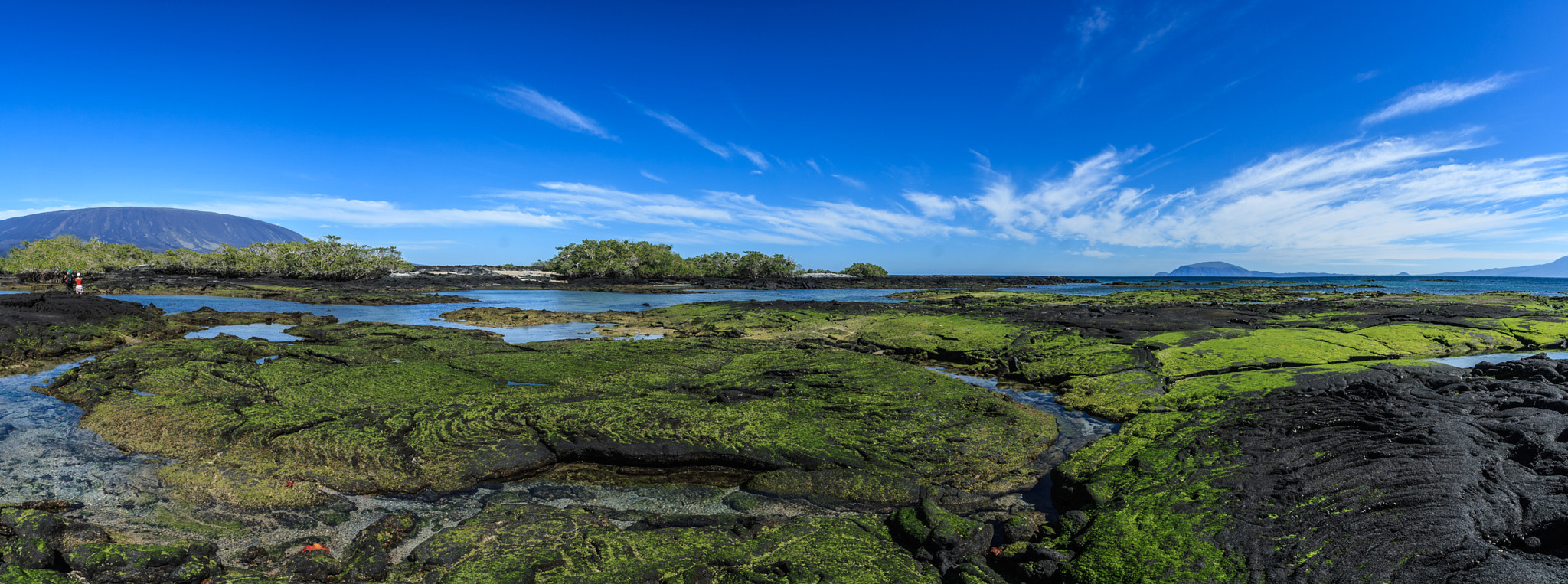 Canon EOS 1000D (EOS Digital Rebel XS / EOS Kiss F) sample photo. Fernandina landscapes galapagos islands photography