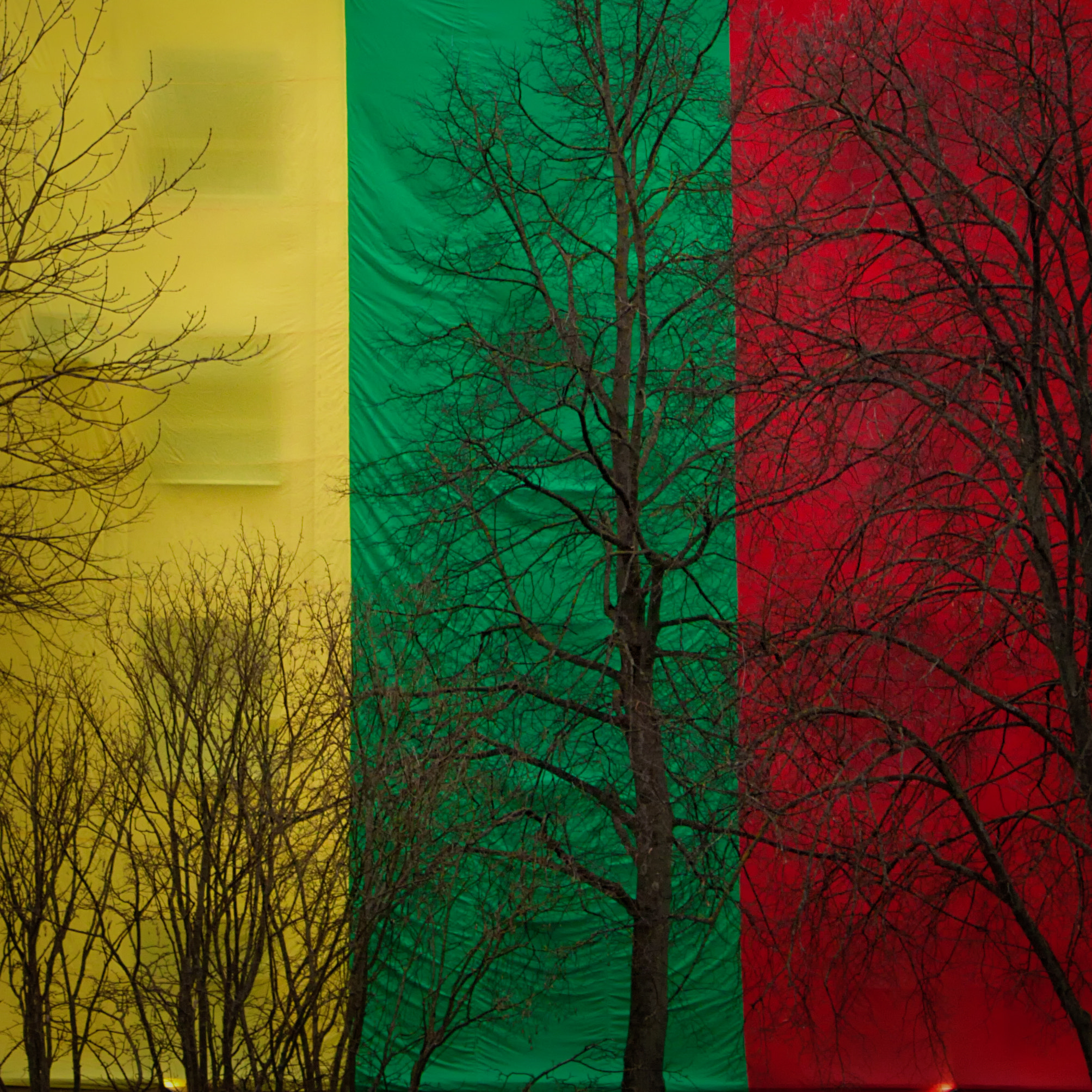 Canon EOS 50D sample photo. Independence day celebration in lithuania photography