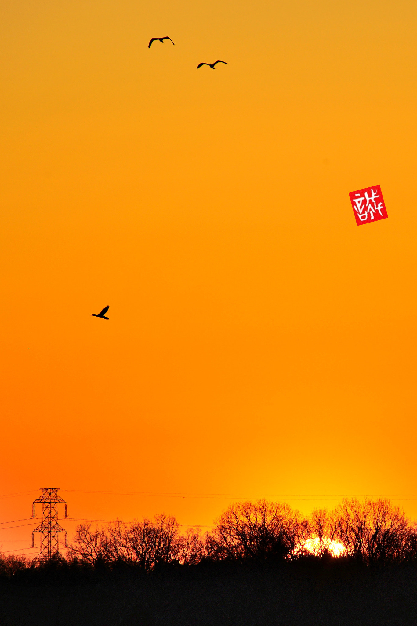 Sony 75-300mm F4.5-5.6 sample photo. Sunrise 0310 photography