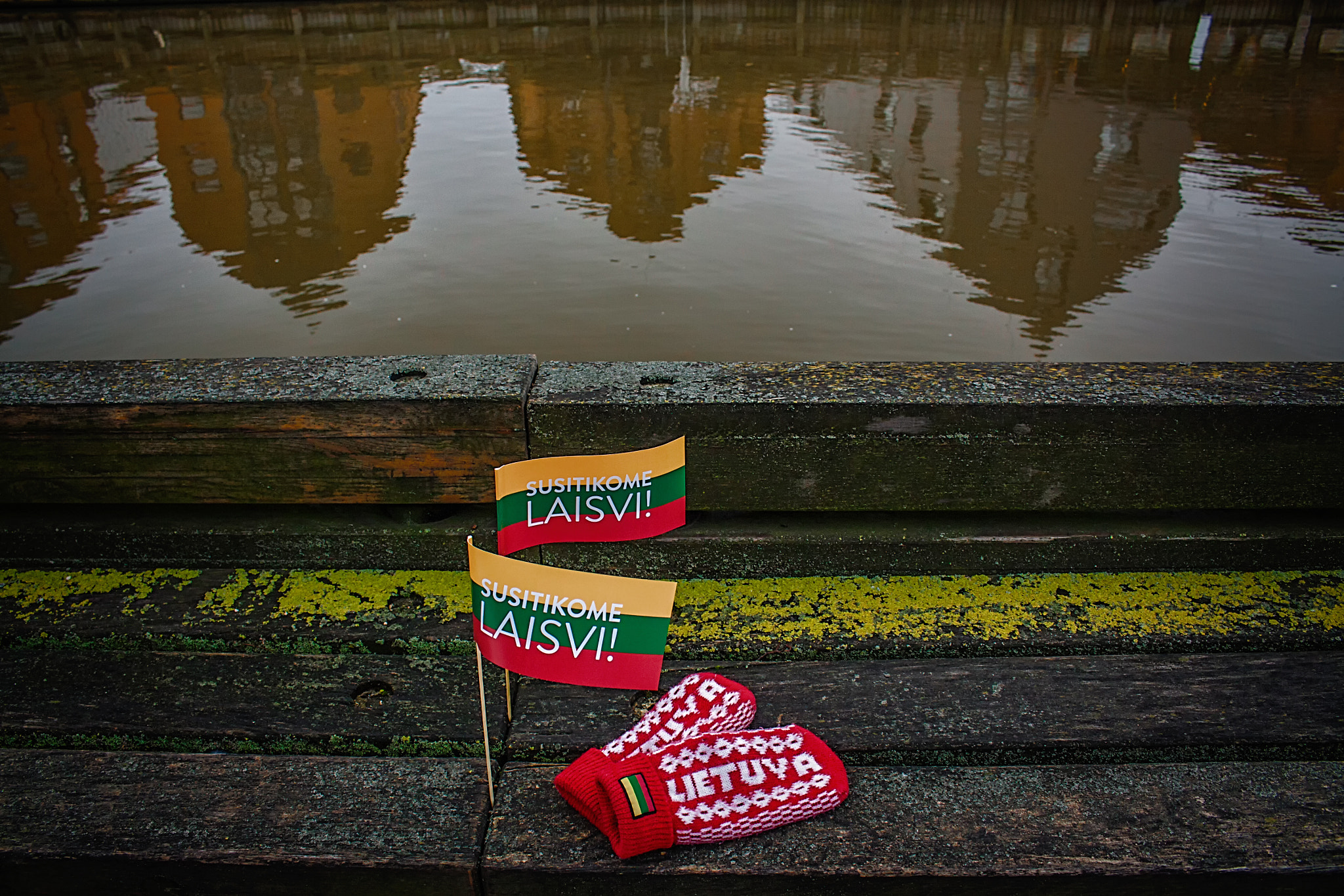 Canon EOS 50D sample photo. Independence day celebration in lithuania photography