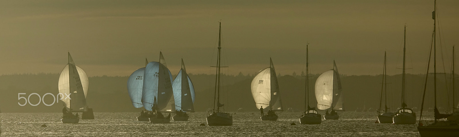 Sony 24-600mm F2.4-4.0 sample photo. The sunset race...... photography