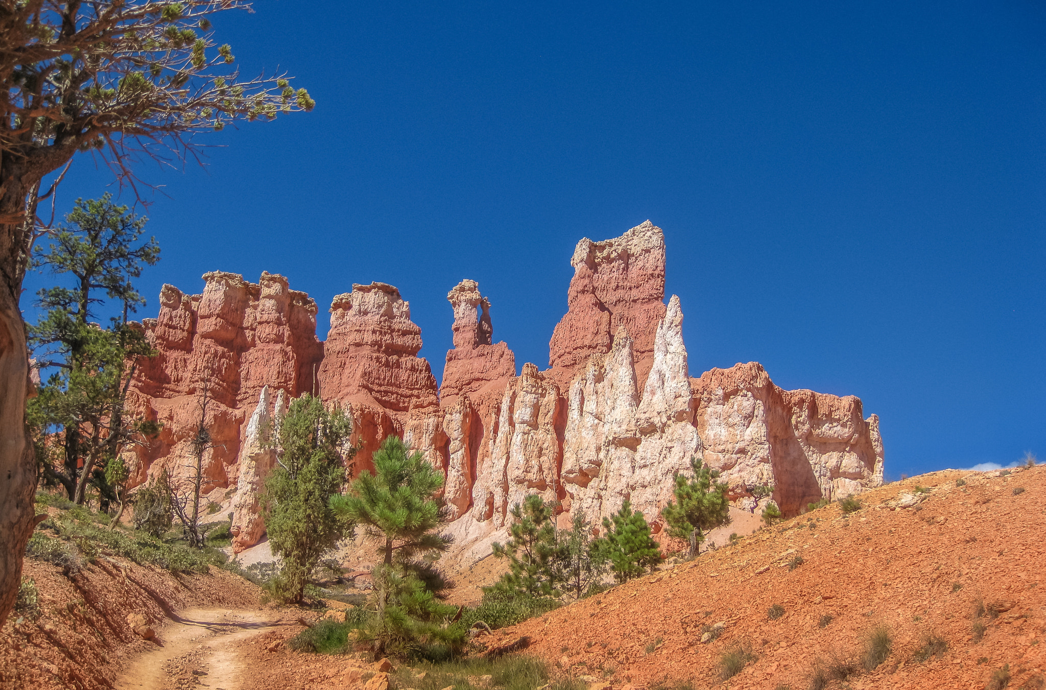 Canon PowerShot SD890 IS (Digital IXUS 970 IS / IXY Digital 820 IS) sample photo. Hoodoos of bryce canyon photography