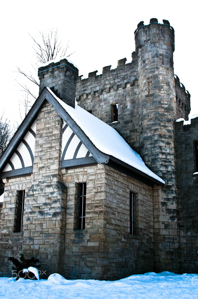 Nikon D300S sample photo. Squire's castle photography