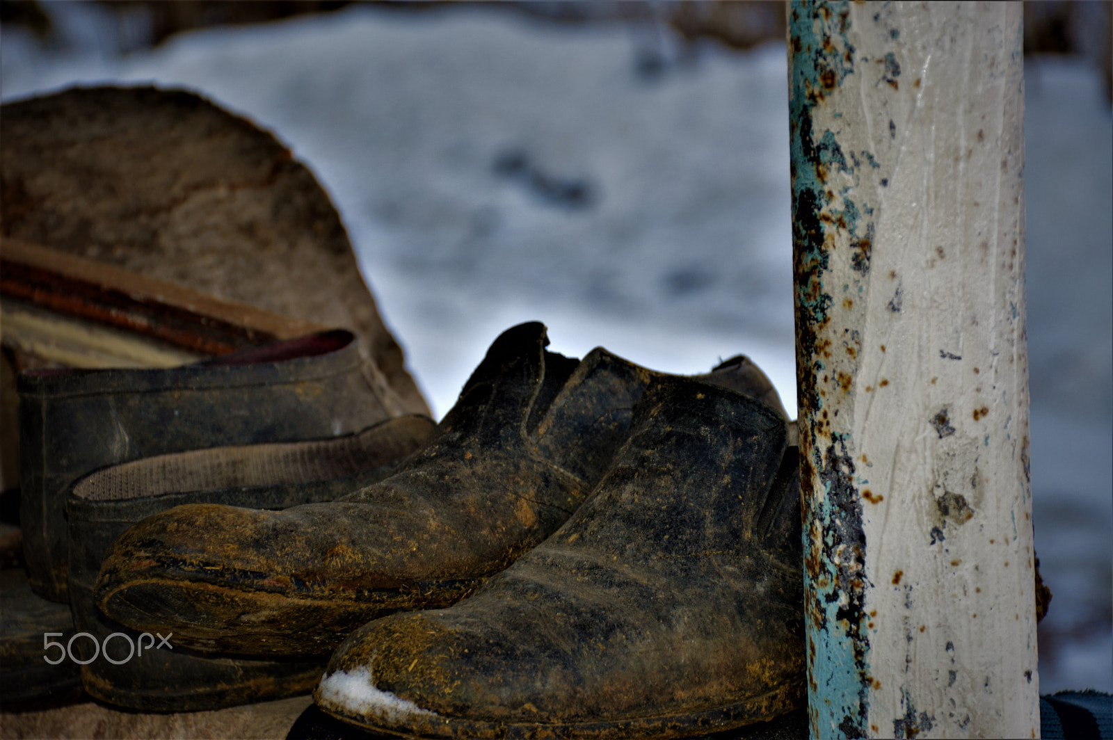 Nikon D3200 sample photo. Pureness. photography