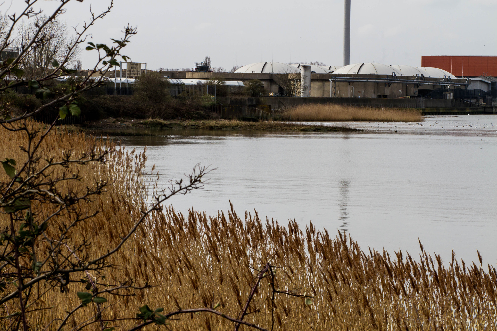 Canon EOS 7D + Canon EF 85mm F1.8 USM sample photo. The marshes photography