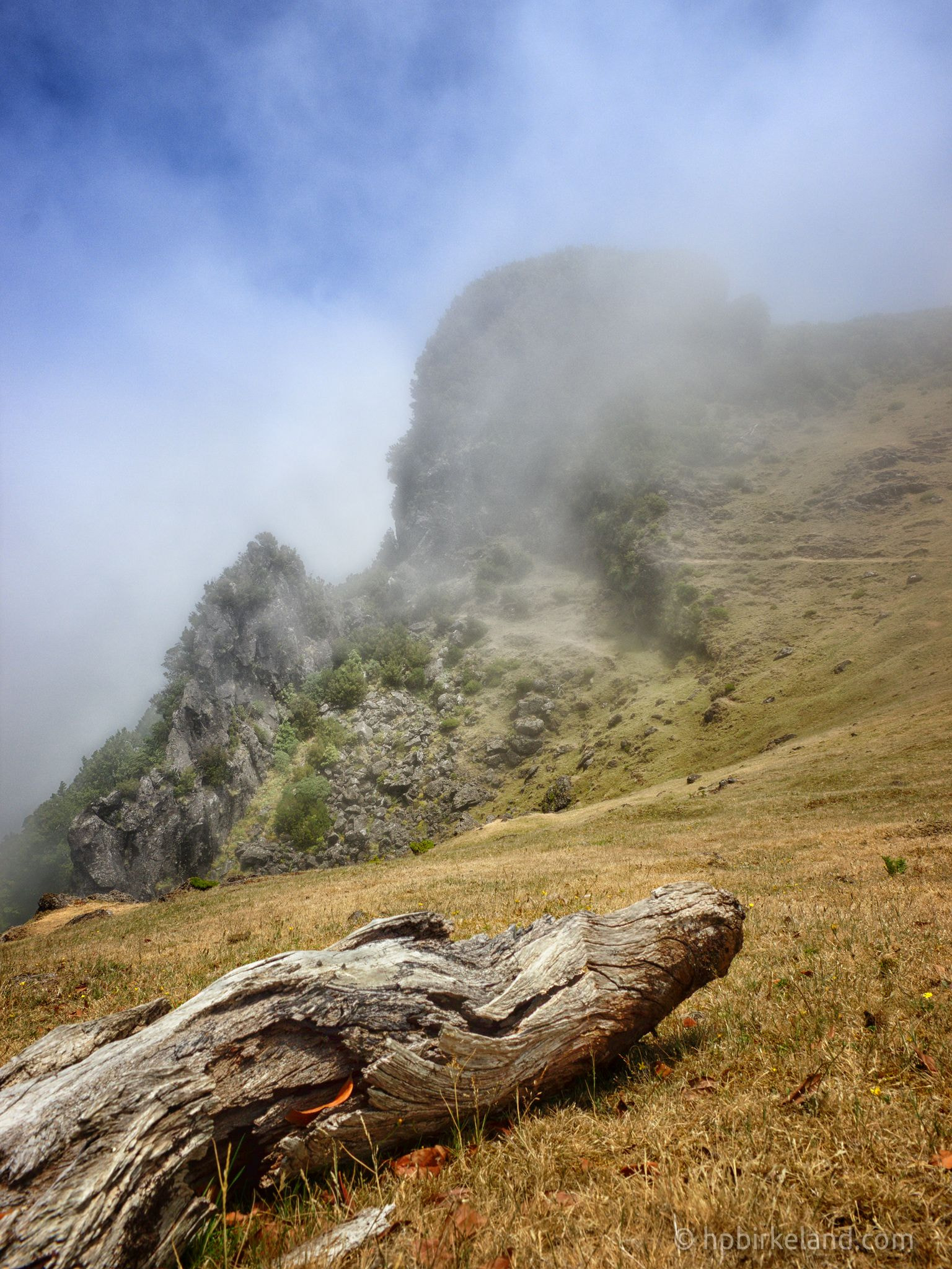 Canon EOS 550D (EOS Rebel T2i / EOS Kiss X4) sample photo. Madeira fog photography