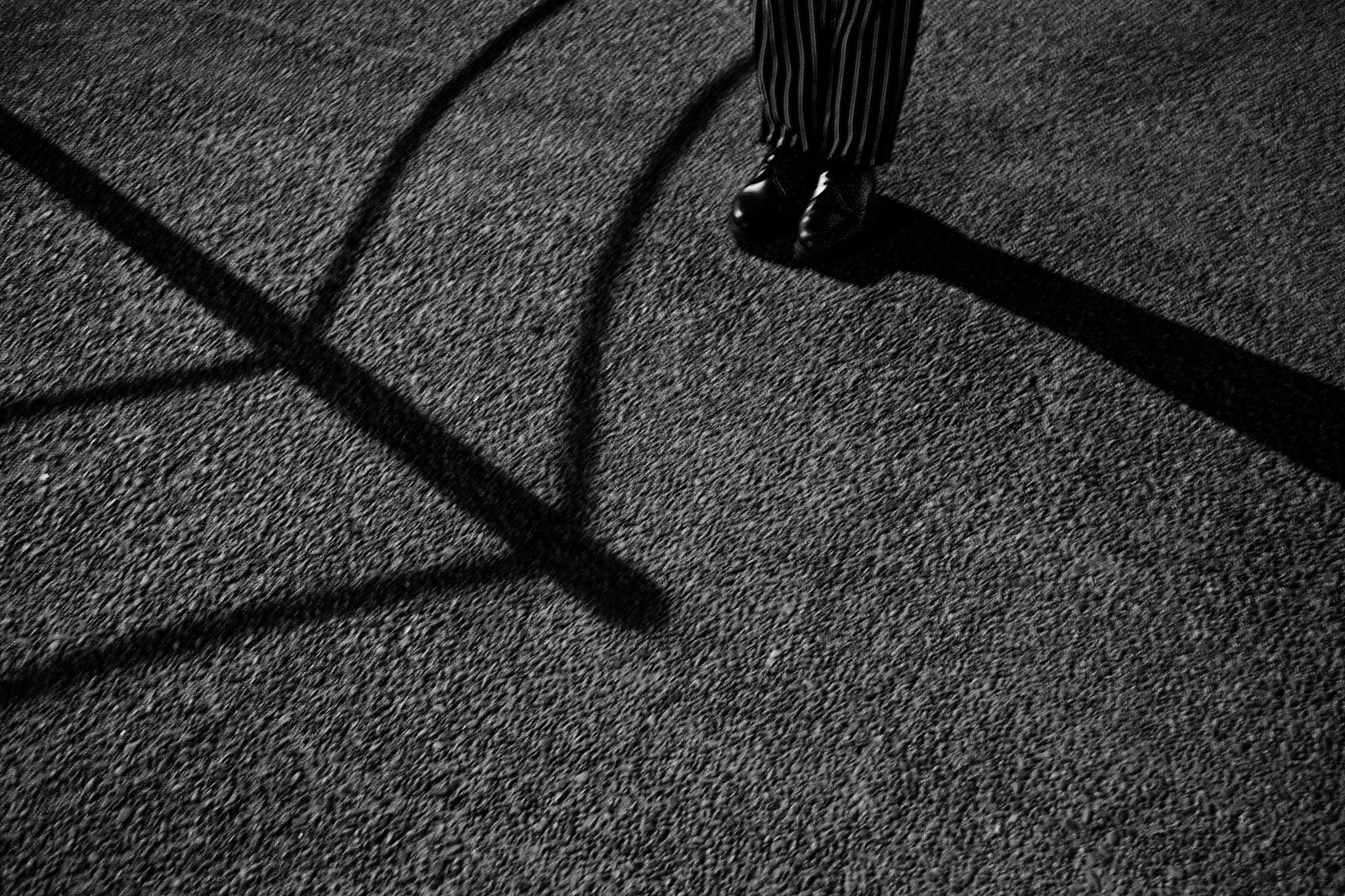 Fujifilm X-T10 + Fujifilm XF 27mm F2.8 sample photo. Trapped photography