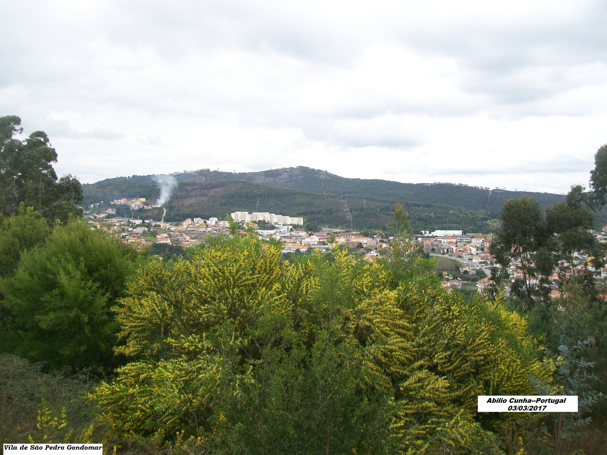 Kodak EasyShare C913 sample photo. Vila de são pedro gondomar portugal photography