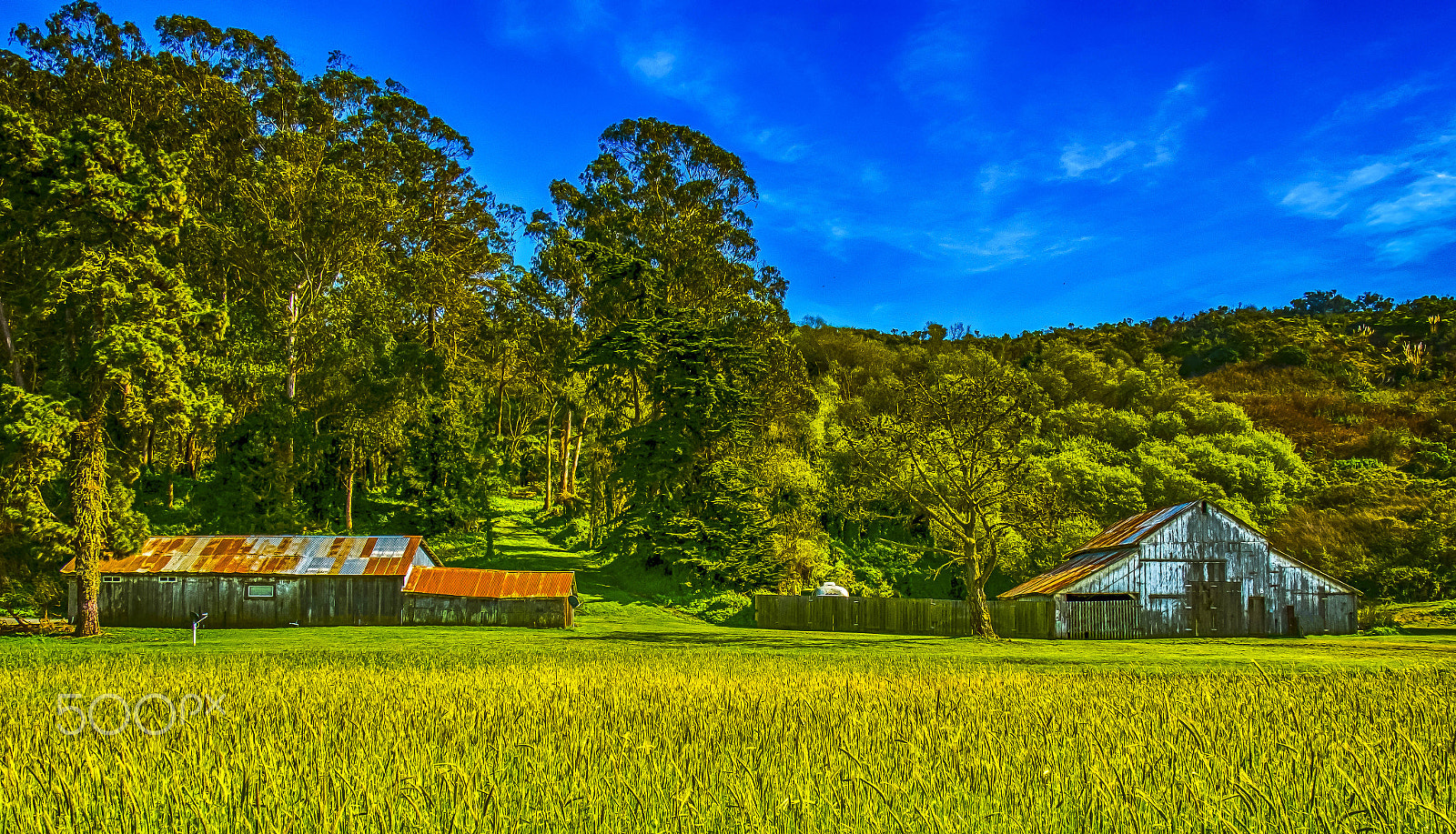 Fujifilm X-T2 + Fujifilm XF 18-135mm F3.5-5.6 R LM OIS WR sample photo. Old farm buildings photography