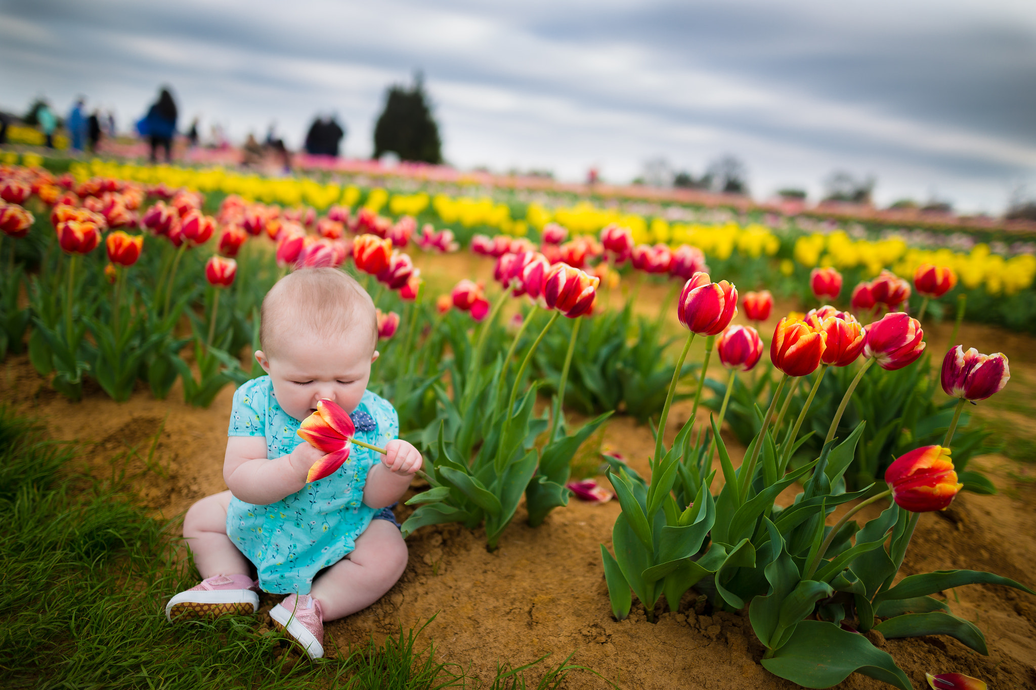 Sigma 24mm F1.4 DG HSM Art sample photo. Innocence is priceless photography